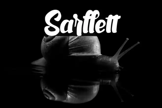 Sarllett Font examples
