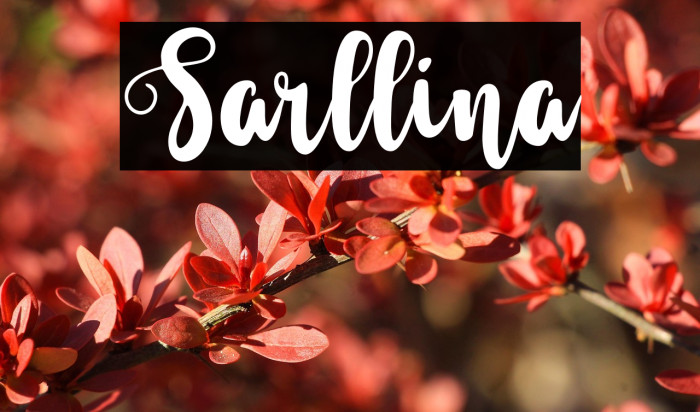 Sarllina Example 1