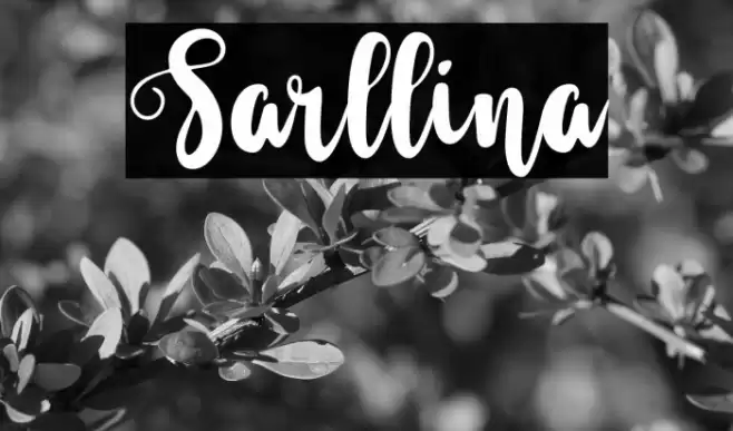 Sarllina Font examples