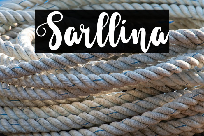 Sarllina Example 3