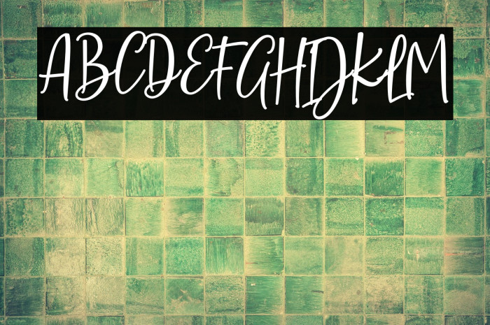 SarmillaScript Example 1