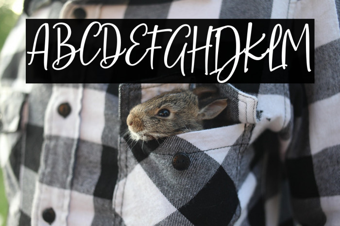 SarmillaScript Example 3