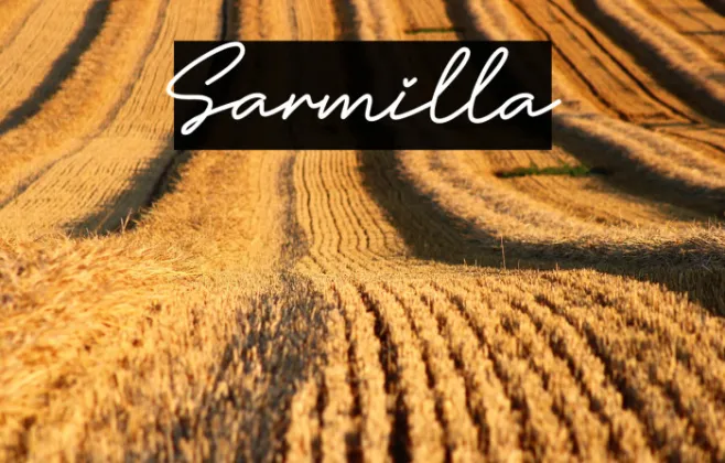 Sarmilla Example 3