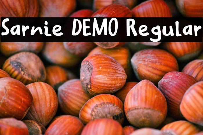 Sarnie DEMO Regular Example 1