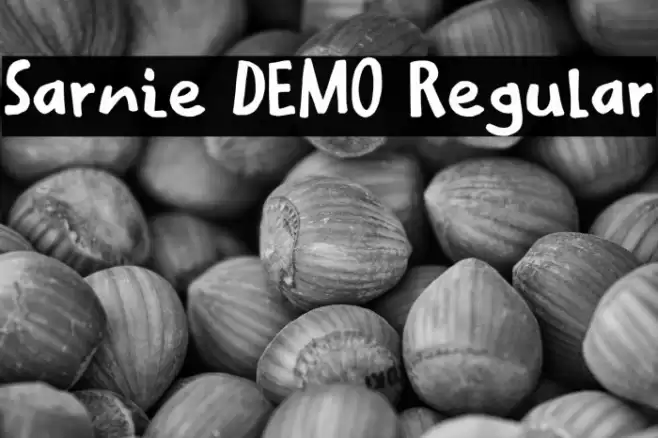 Sarnie DEMO Regular Fonte examples