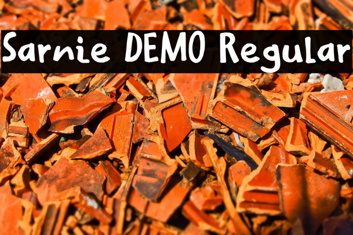 Sarnie DEMO Regular Example 2