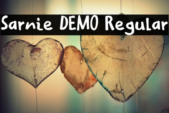 Sarnie DEMO Regular Example 3