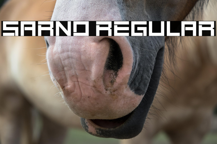 Sarno Regular Example 3