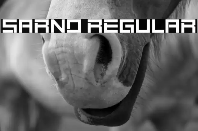 Sarno Regular Caratteri examples