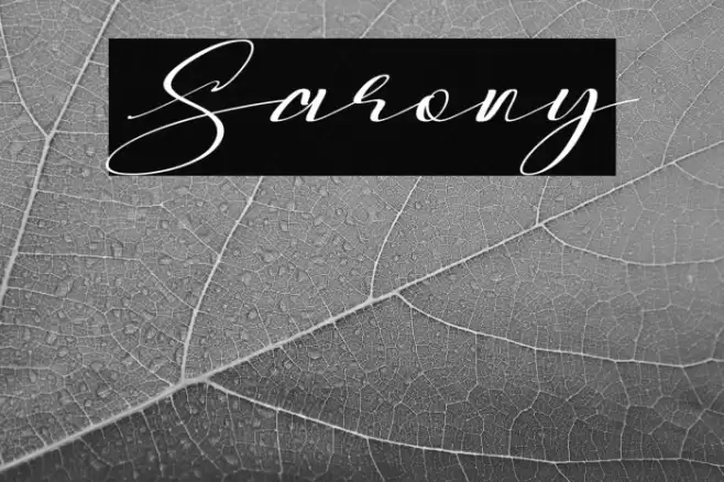 Sarony Font examples