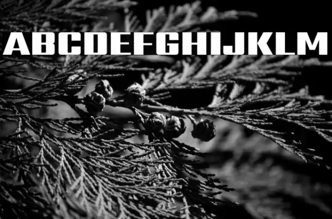 Sarpanch Black Font examples