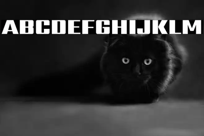 Sarpanch Black Font examples