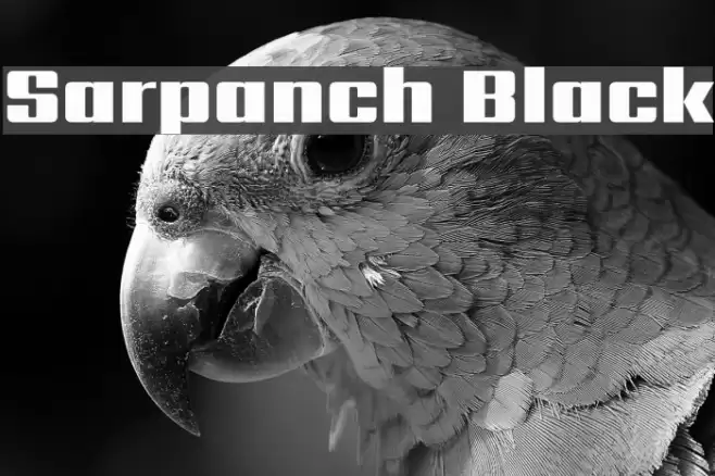 Sarpanch Black Font examples