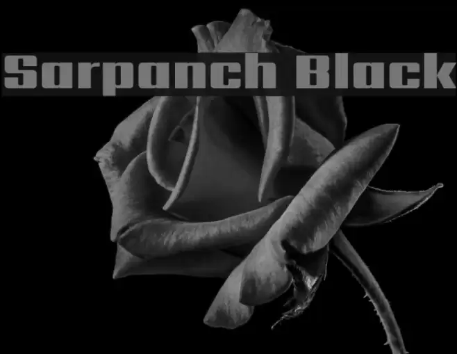 Sarpanch Black Font examples