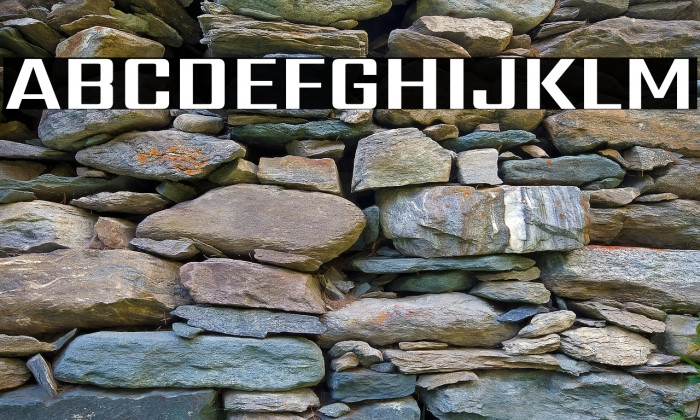 Sarpanch Bold Example 2