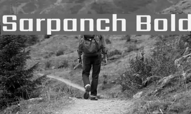 Sarpanch Bold Font examples