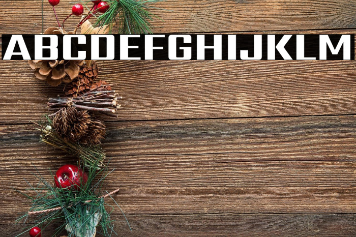 Sarpanch ExtraBold Example 2