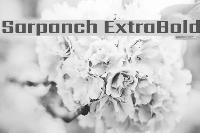 Sarpanch ExtraBold Font examples