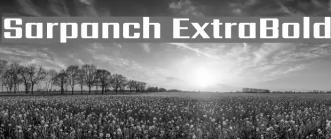 Sarpanch ExtraBold Font examples