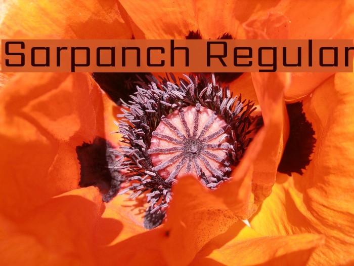 Sarpanch Regular Font examples