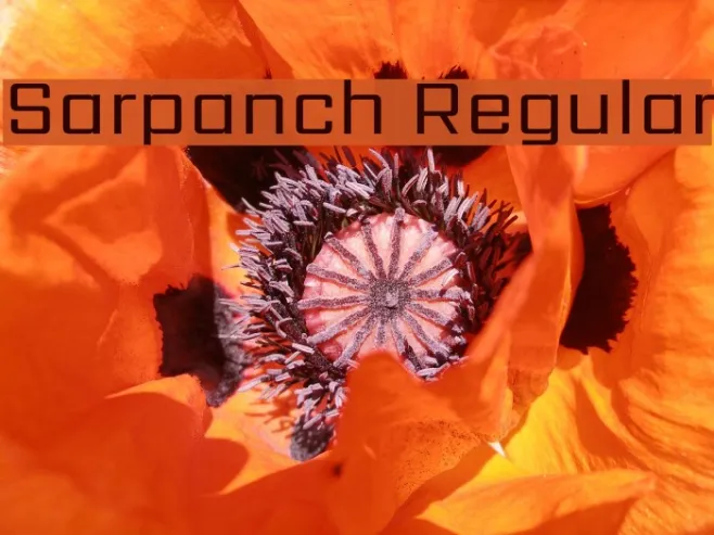 Sarpanch Regular Example 2