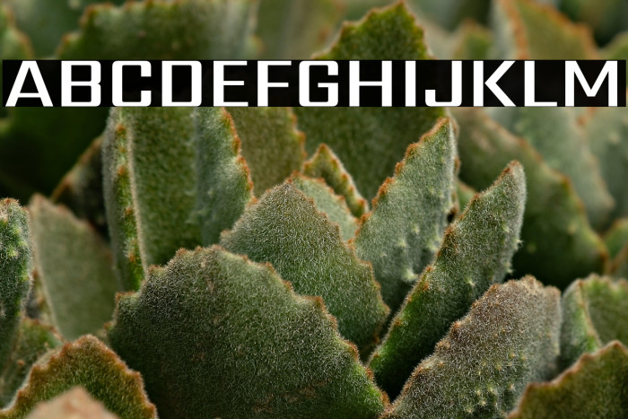 Sarpanch SemiBold Example 1