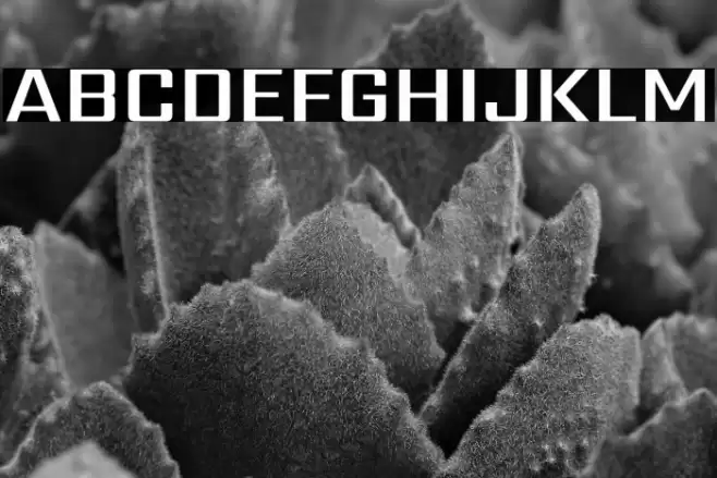 Sarpanch SemiBold Font examples