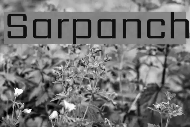 Sarpanch Font examples
