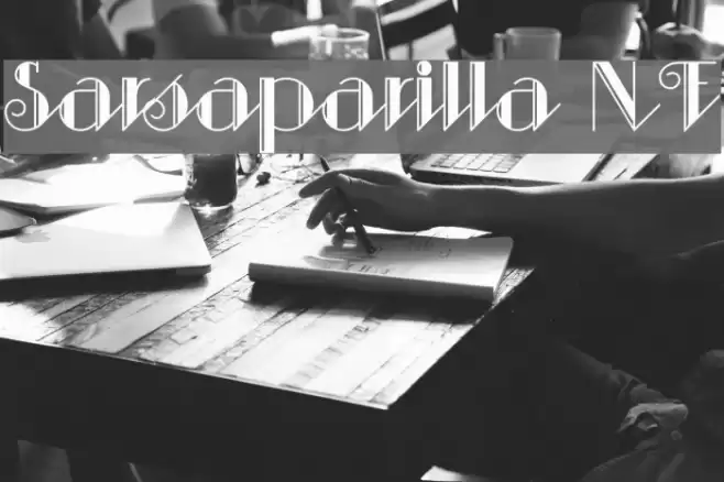 Sarsaparilla NF Font examples