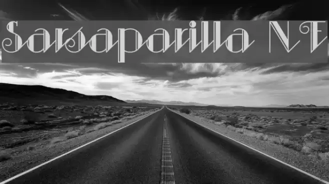 Sarsaparilla NF Font examples