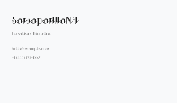 SarsaparillaNF Business Card