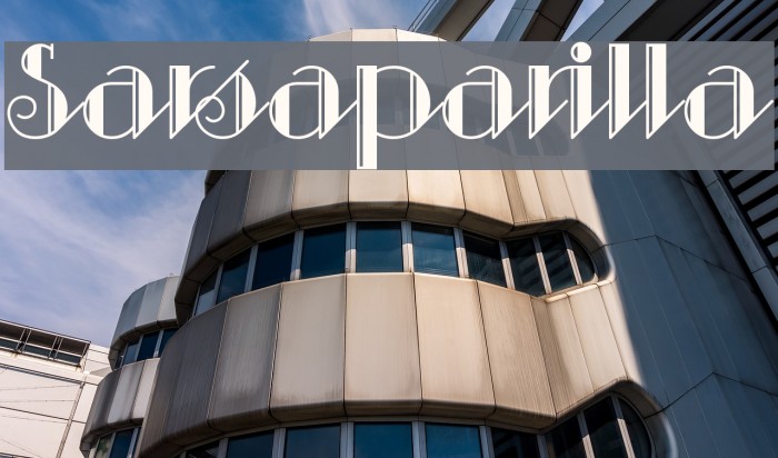 Sarsaparilla Example 1