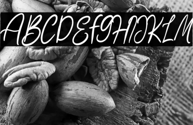 Sartadi Font examples