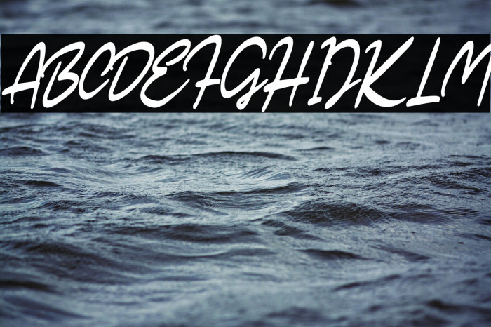 SarticScriptDEMO-Regular Example 1