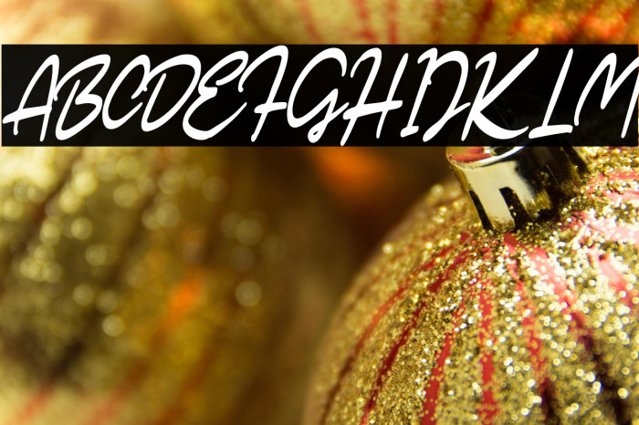 SarticScriptDEMO-Regular Example 2