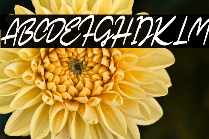 SarticScriptDEMO-Regular Example 3