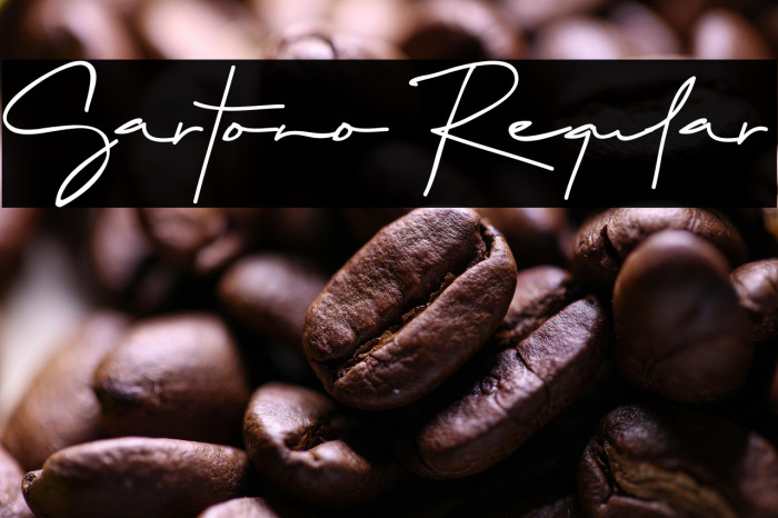 Sartono Regular Example 3