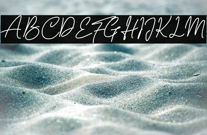 Sarttink Signature Example 1