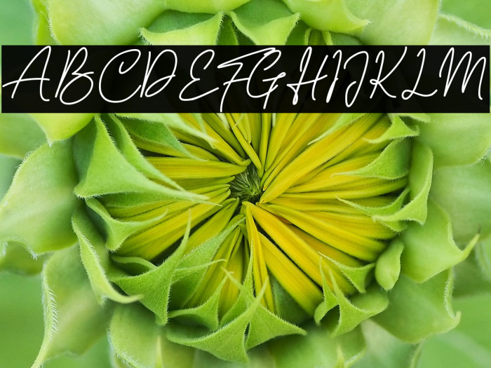 Sarttink Signature Example 2