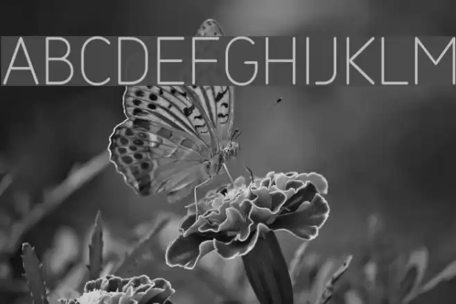 SarySoft-ExtraLight Font examples