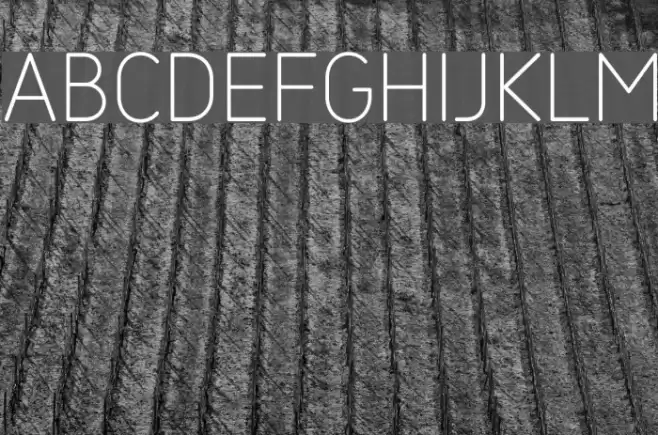 SarySoft-ExtraLight Font examples