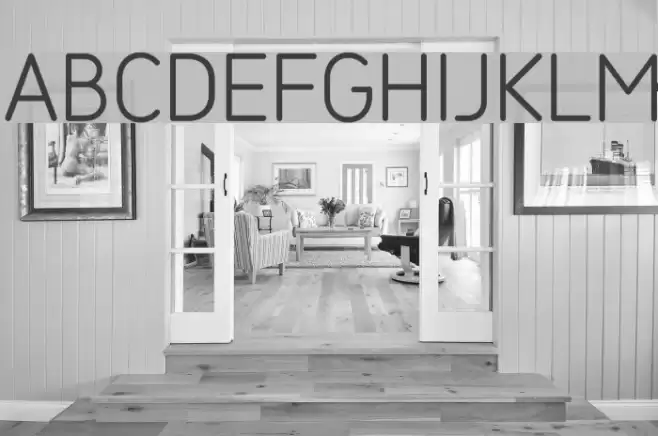 SarySoft-Light Font examples