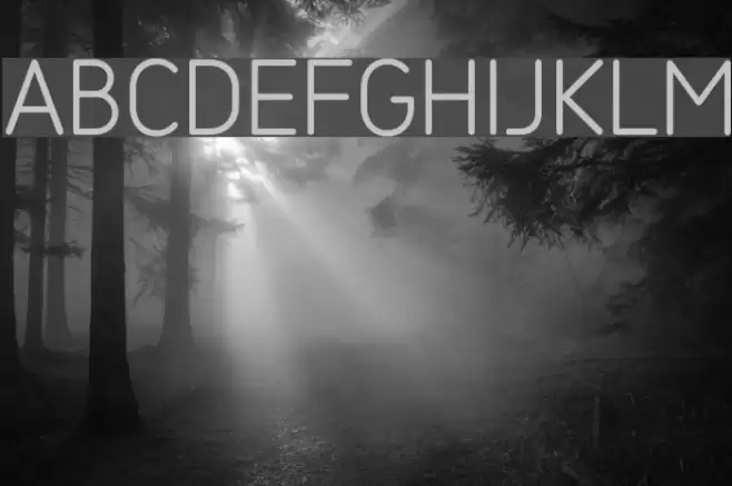 SarySoft-Light Font examples