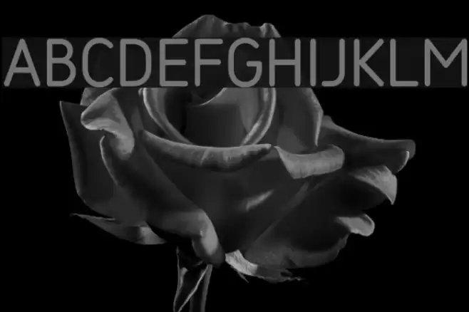 SarySoft-Regular Font examples