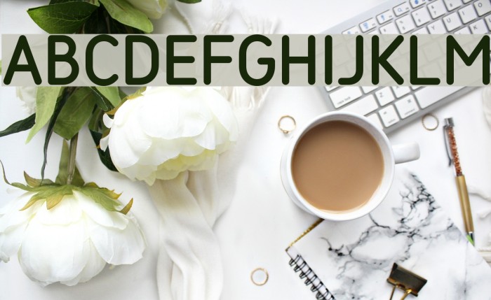 SarySoft-SemiBold Font examples