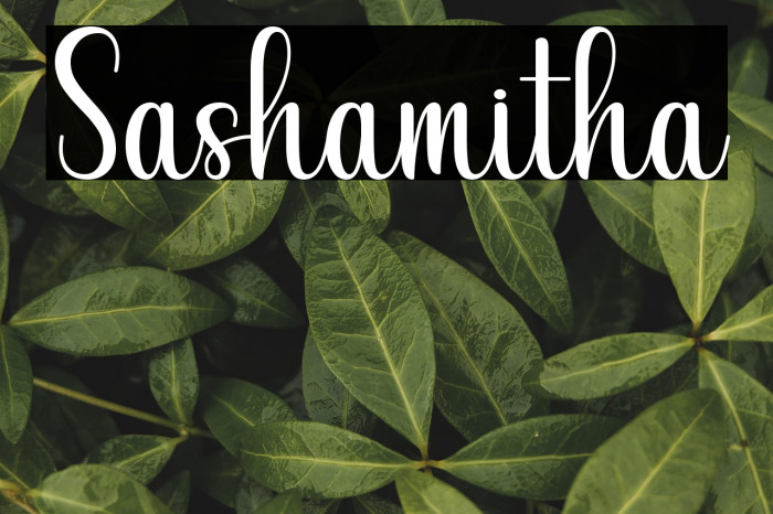 Sashamitha Example 2