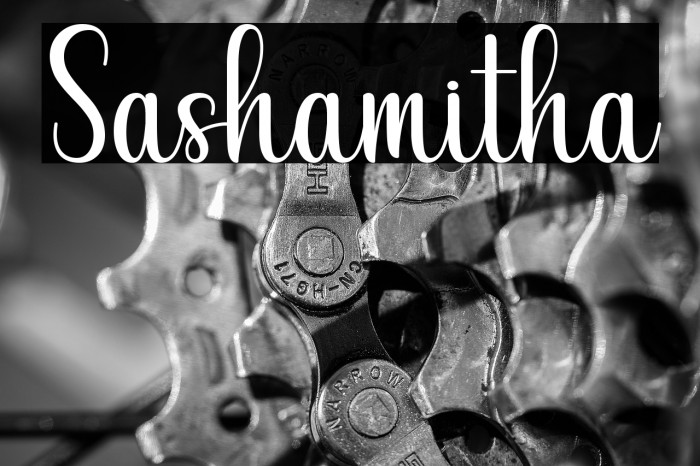 Sashamitha Example 3