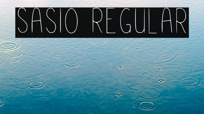 Sasio Regular Example 1