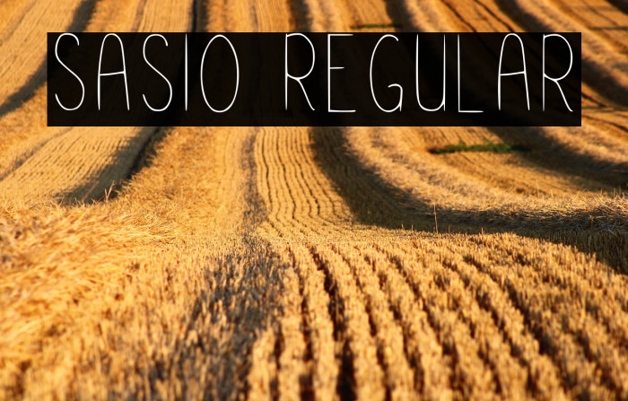 Sasio Regular Example 2