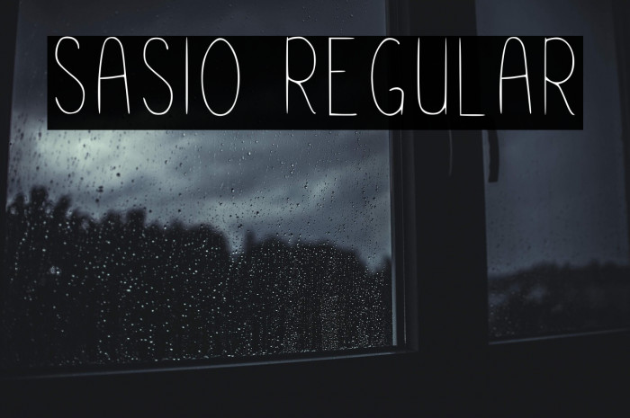 Sasio Regular Example 3